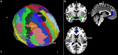 The neurobiology of misophonia and implications for novel, neuroscience-driven interventions